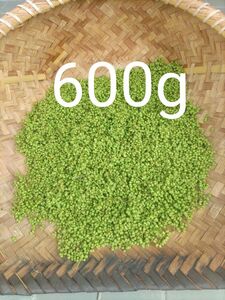 山椒の実600g