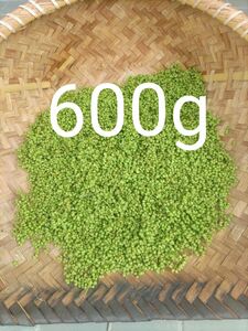 山椒の実600g