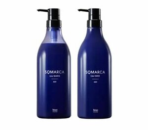  horn You soma LUKA color shampoo ash 770ml + color Charge ( color treatment ) ash 750