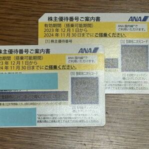 コード通知 ANA 全日本空輸 全日空 株主優待券 ２枚 有効期間２０２４年１１月３０日までの画像1