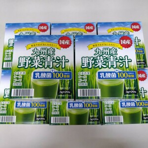 〈送料無料〉九州産　野菜青汁　3g×160包　乳酸菌入☆外装箱は付きません☆大麦若葉　ケール　ゴーヤ