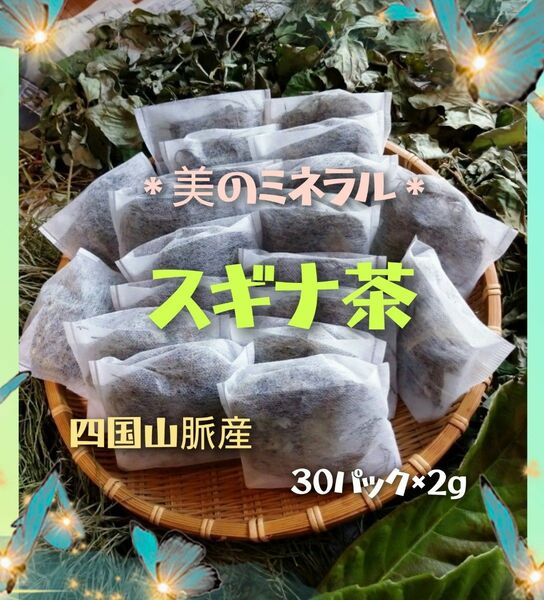 美のミネラル☆スギナ茶＊自然栽培