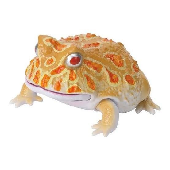 いきもの大図鑑レプティ ツノガエルとアメフクラガエル クランウェルツノガエル アルビノイエロー ガチャ ガシャポン カプセルトイ