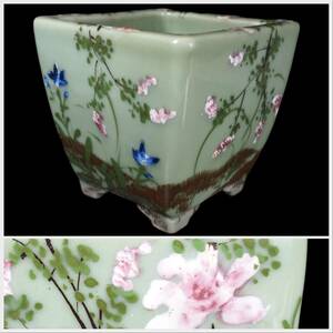  Meiji era rare Owari Seto celadon overglaze enamels chamfer . flower . plant pot * orchid pot valuable bonsai art * genuine article guarantee 