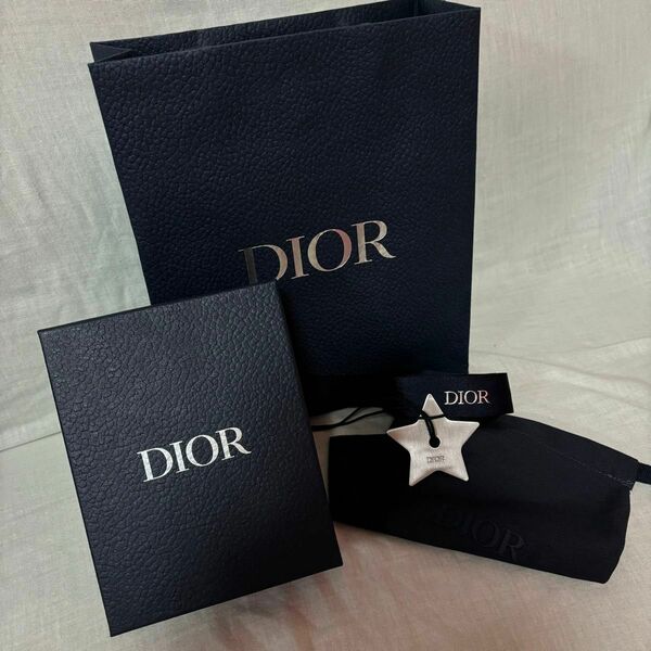 Dior ショップ袋 紙袋 ディオール メンズ DIOR 青