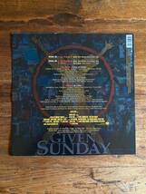 【代理出品】LL Cool J/Hole「Any Given Sunday」ドイツ盤 12inch OST Hip Hop Alternative ヒップホップ オルタナ サントラ_画像2