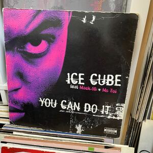 G-Rap@Ice Cube/You Can Do It/UK Press Only Remix