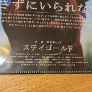 【新品未開封】JRA クリアファイル ヒーロー列伝 No.49 ステイゴールド A4クリアファイル 競馬 競走馬の画像3