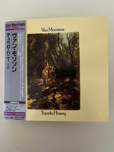 【CD】【2008 帯付国内盤 SHM-CD 紙ジャケ】VAN MORRISON / TUPELO HONEY