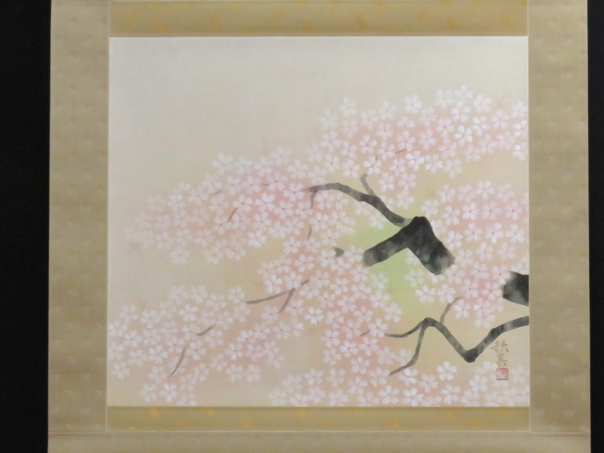 JY1120◆◇ Pergamino colgante de Ikeno Fusato Sakura con caja◇◆Primavera, Cuadro, pintura japonesa, Flores y pájaros, Fauna silvestre