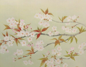 Art hand Auction JY1462◆◇掛軸 千村俊二 桜花 尺八横 現代作家新作掛軸◇◆早春 春 日本画, 絵画, 日本画, 花鳥, 鳥獣