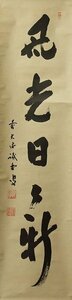 Art hand Auction ◆◇515th abbot of Daitokuji, Fujii Kaido, one-line calligraphy Every day is new with new scenery is a Zen phrase that gives you a new feeling. 100cm long hanging scroll by a deceased artist, with box◇◆New Year's auspicious hanging scroll, early spring, spring JY2141, Painting, Japanese painting, others