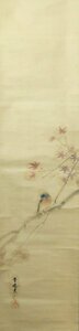 Art hand Auction JY51◆◇ Hanging scroll by Taniguchi Kokyo, Autumn leaves and small birds, half-cut, hanging scroll by a deceased artist◇◆ Daurian robin, robin, regular robin, late autumn, tea hanging, waiting room, donation, Painting, Japanese painting, Flowers and Birds, Wildlife