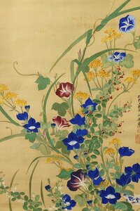 Art hand Auction ◆◇Inscription: Kano Shoshinsai Eishin (Hiroshima, Fukuyama Domain Elder Hirai Setsukyo (1806-1885) Brilliantly colored autumn grasses, antique hanging scroll, wooden box, Summer, early autumn, Rinpa, JY2133, Painting, Japanese painting, Flowers and Birds, Wildlife