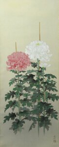 JY1060◆◇掛軸 内田逸郎 「菊」共箱 尺五立 現代作家掛軸◇◆節句掛け めでた掛け