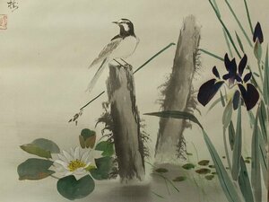 Art hand Auction ◆◇Imai Keiju/ Mie-Kyoto, 1891‐1967) Pondside (Summer Flowers and Wagtails by the Pondside) 130cm wide hanging scroll by a deceased artist with box ◇◆Early Summer Summer Midsummer / Everyday Hanging JY2142, Painting, Japanese painting, Flowers and Birds, Wildlife