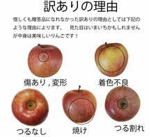 青森県産　家庭用　りんご　サンふじ　訳あり　10kg　送料無料！_画像5