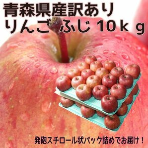 青森県産 家庭用 りんご サンふじ 訳あり 10kg 送料無料！の画像1