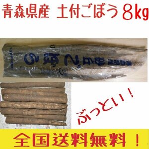 青森県産　　土付　ごぼう　３L　８ｋｇ　　送料無料！