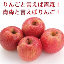 青森県産　家庭用　りんご　サンふじ　訳あり　10kg　送料無料！_画像6