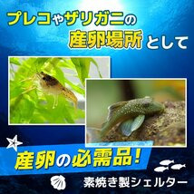 産卵 筒 4個 セット シェルター 熱帯魚 アクアリウム 隠れ家 土管 洞窟 水槽 装飾 飾り カマボコ 魚 稚魚 プレコ ザリガニ エビ 1-_画像2