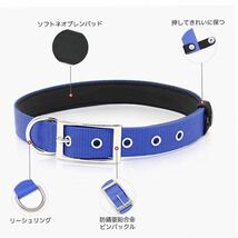 【新品】PZRLINT 犬用首輪 ブルー Mサイズ ペット 青色 パッド入り　金属製バックル　 お散歩 軽量 _画像4