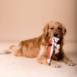 【未使用】*YIHOTION*犬用おもちゃ(いのしし)ペット用品 音が出る ロープ付き ストレス解消 運動不足解消 ぬいぐるみ 歯磨き 可愛い