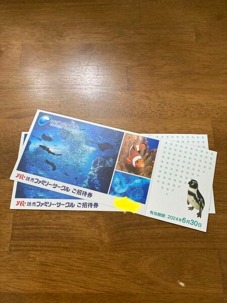 新江ノ島水族館　ご招待券　2枚