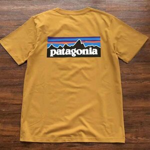 1800円～ パタゴニア patagonia メンズ Tシャツ 半袖 丸首 イラスト 背中文字 サイズあり XS-3XL 簡易包装 郵便発送 pp260