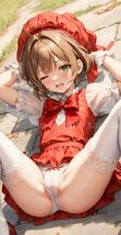 ▲本桜 24932▲コスプレ▲タペストリー・抱き枕カバー系・超大バスタオル・毛布・ポスター▲超大105×55cm_画像3