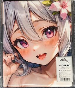 ^kokoro24645^ cosplay ^ tapestry * Dakimakura cover series * super large bath towel * blanket * poster ^ super large 105×55cm