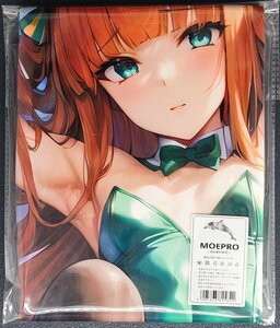 ^( horse beautiful young lady ) 15076^ cosplay ^ tapestry * Dakimakura cover series * super large bath towel * blanket * poster ^ super large 105×55cm