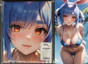 ^. рисовое поле .... уголок 26721 ^ костюмированная игра ^ гобелен * Dakimakura покрытие серия * супер большой банное полотенце * одеяло * постер ^ супер большой 105×55cm