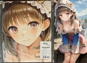 ^ beautiful young lady 25968^ cosplay ^ tapestry * Dakimakura cover series * super large bath towel * blanket * poster ^ super large 105×55cm