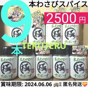 本わさび 極 すぱいす 40ｇ×９本 ステーキ 肉料理 ワサビ わさび スパイス 香辛料 お肉料理 和牛 ビーフ ワサビ 肉料理