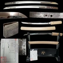 M0230B 平長盛 脇差 刃長35.4cm 反り0.8cm登録書 居合刀 刀剣 太刀 縁頭 拵え 目貫 鍔 柄 時代物_画像1