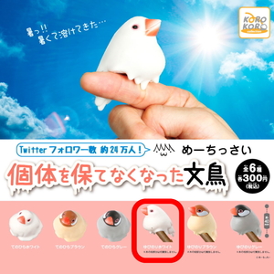 § 個体を保てなくなった文鳥　（ゆびのりホワイト）