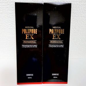 シーエスシー ポリピュアEX 120ml 2本セット