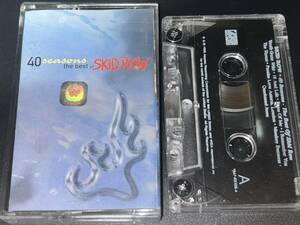 Skid Row / 40 Seasons - The Best Of Skid Row импорт кассетная лента 