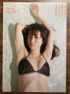 【厚手ラミネート加工】大島優子　水着　A4変サイズ　雑誌切り抜き 7ページ　月刊エンタメ2010 10【グラビア】-f13