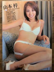 [ thick laminate processing ] Yamamoto . swimsuit A4 change size magazine scraps 4 page Scola 2005 09[ gravure ]-L4 0525