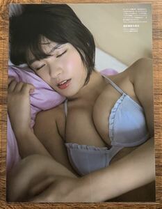 【厚手ラミネート加工】星名美津紀　水着　A4変サイズ　雑誌切り抜き 5ページ SPA！スパ 2017 10月3日【グラビア】-d6