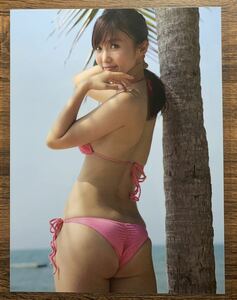 [ thick laminate processing ]. tree .. swimsuit A4 change size magazine scraps 4 page yellow gold. GT 2013 03[ gravure ]-g09 0520