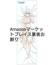 【正規品】魔女の旅々 抱き枕カバー イレイナ 新品未開封 ムービック_画像2