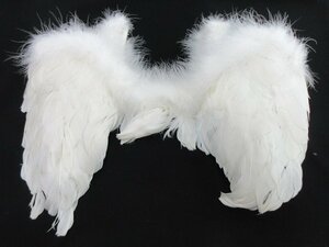 inagoya! with translation sale! Event . cosplay .[ child * angel. feather ] feather costume Halloween fancy dress used have on possible y9927kd