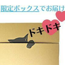 訳あり送料無料　完熟紀州南高梅　しそ梅　1kg　袋入り　ポスト投函　和歌山県産　国産　インフルエンザ　梅干し　しそ漬け　し１_画像4