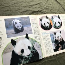 美盤 激レア 1981年 オムニバス V.A. LPレコード パンダ歓迎 Panda Fun In 帯付 パンダのウェイウェイ記念盤_画像6