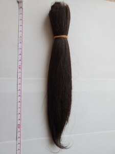 髪束 髪の毛 日本人女性 20代 23cm49g