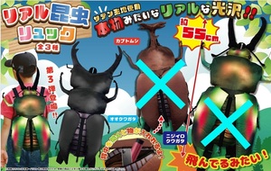  real insect rucksack [ oo stag beetle ] - amusement -