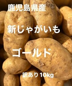 鹿児島県産 新じゃがいも ゴールド 訳あり10kg